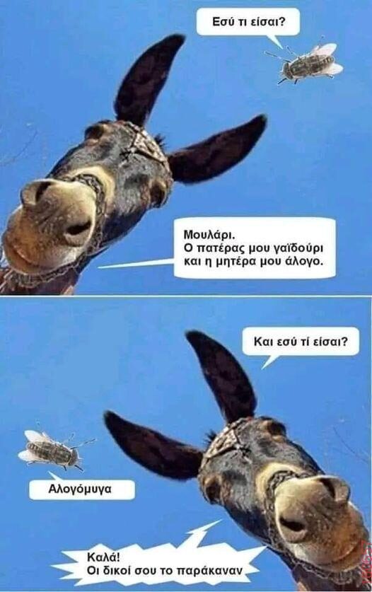 Αστεία εικόνα