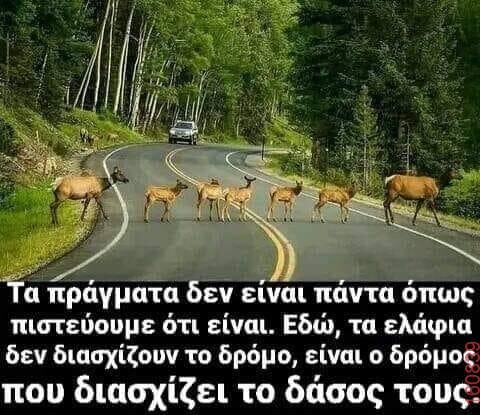 Αστεία εικόνα