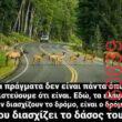 Αστεία εικόνα