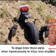 Αστεία εικόνα katharmata 2 – Ola rand FB