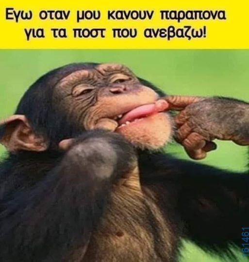 Αστεία εικόνα