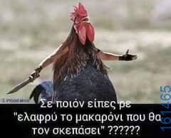 Αστεία εικόνα