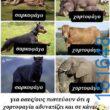 Αστεία εικόνα