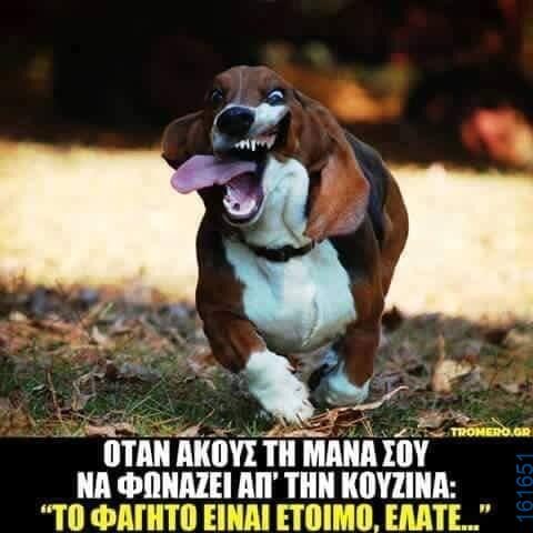 Αστεία εικόνα katharmata 2 – Ola rand FB