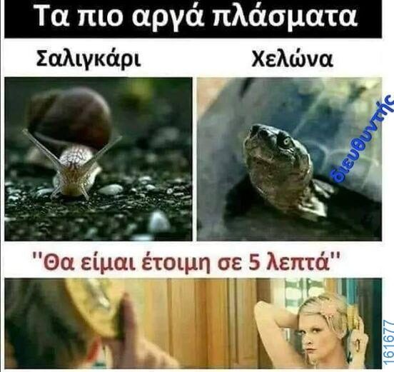 Αστεία εικόνα