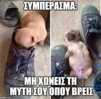 Αστεία εικόνα