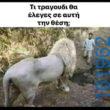 Αστεία εικόνα