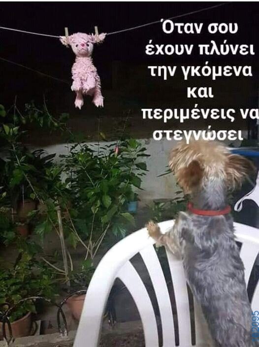 Αστεία εικόνα