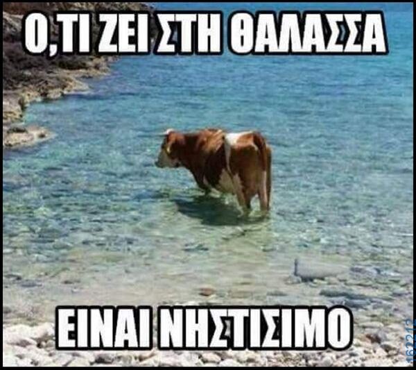 Αστεία εικόνα