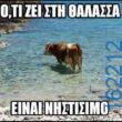 Αστεία εικόνα