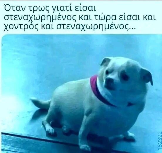 Αστεία εικόνα