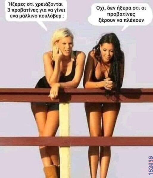 Αστεία εικόνα