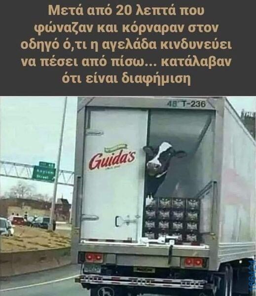 100050424252702_1035182738172525-Αστεία εικόνα-klaiwapotagelia