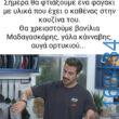 100054039829152_930850205392965-Αστεία εικόνα-oxarosss