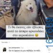 100054039829152_936182474859738-Αστεία εικόνα-oxarosss