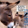 100066303475822_784691057084336-Αστεία εικόνα-kanelikegianablepistakalitera
