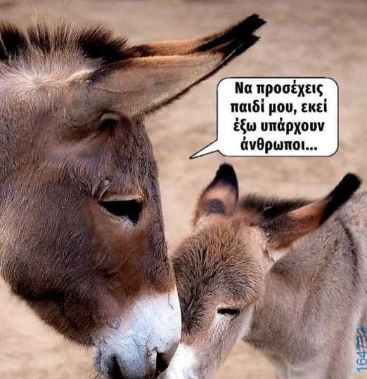 100066303475822_784691057084336-Αστεία εικόνα-kanelikegianablepistakalitera