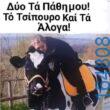 100066303475822_784910580395717-Αστεία εικόνα-kanelikegianablepistakalitera