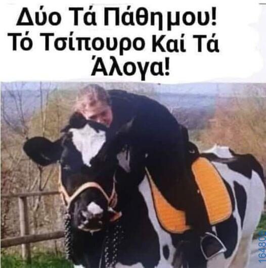 100066303475822_784910580395717-Αστεία εικόνα-kanelikegianablepistakalitera