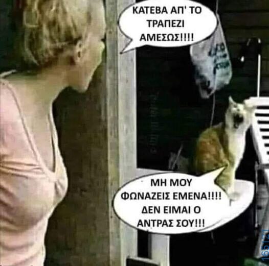 100066303475822_786145840272191-Αστεία εικόνα-kanelikegianablepistakalitera