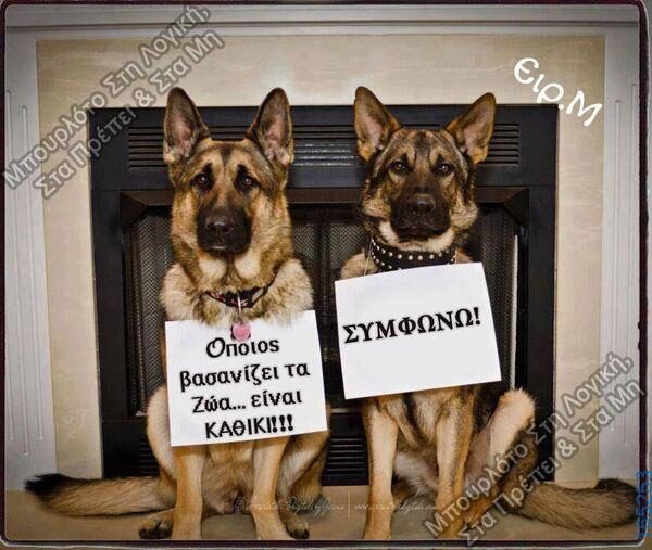 100066303475822_786637496889692-Αστεία εικόνα-kanelikegianablepistakalitera