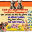 100066303475822_789322753287833-Αστεία εικόνα-kanelikegianablepistakalitera