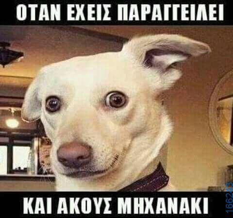 100066303475822_790447269842048-Αστεία εικόνα-kanelikegianablepistakalitera