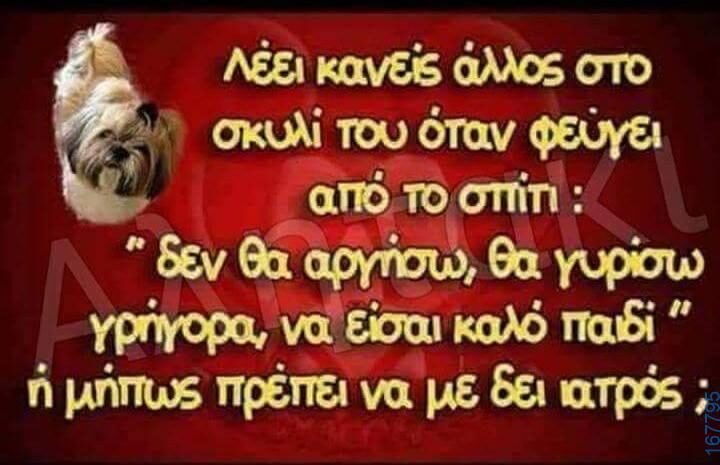 100066303475822_797986285754813-Αστεία εικόνα-kanelikegianablepistakalitera