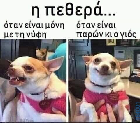 100083112073582_404222762358123_Αστεία εικόνα