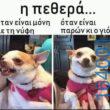 100083112073582_404222762358123_Αστεία εικόνα