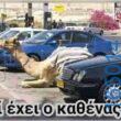 100083112073582_408530451927354_Αστεία εικόνα-Βουνα