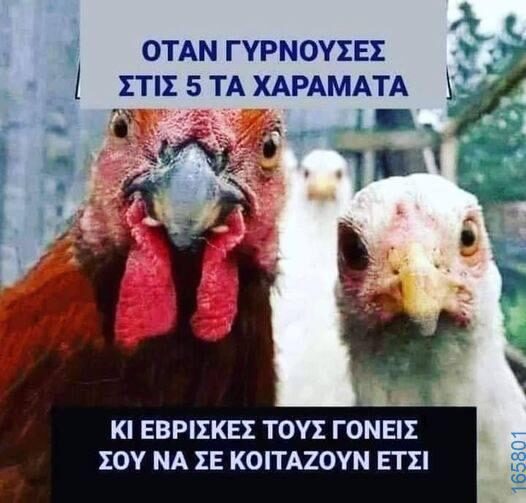 100083112073582_411688338278232_Αστεία εικόνα-Βουνα