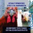 100083112073582_411688338278232_Αστεία εικόνα-Βουνα