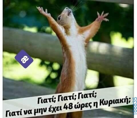 100083112073582_416069741173425_Αστεία εικόνα-Βουνα