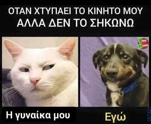 100083112073582_418757630904636_Αστεία εικόνα-Βουνα