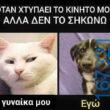 100083112073582_418757630904636_Αστεία εικόνα-Βουνα
