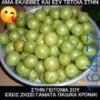 Αστεία εικόνα