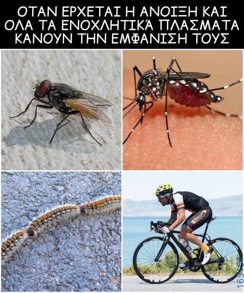 Αστεία εικόνα katharmata 2 – Ola rand FB 61553254332572_122135721470108477