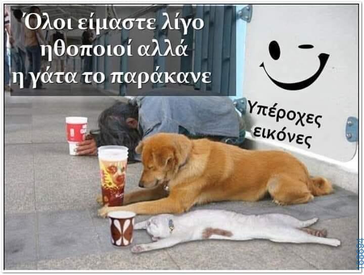 100050424252702_1046636003693865-Αστεία εικόνα-klaiwapotagelia