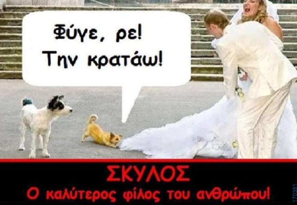 100050424252702_1056365636054235-Αστεία εικόνα-klaiwapotagelia