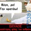 100050424252702_1056365636054235-Αστεία εικόνα-klaiwapotagelia