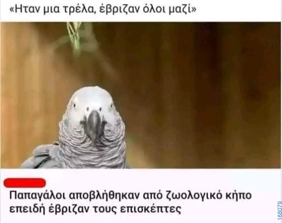 100054039829152_938353551309297-Αστεία εικόνα-oxarosss