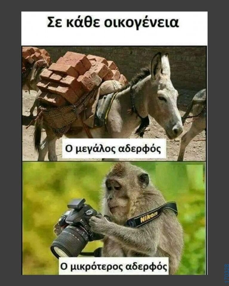 100054039829152_950268743451111-Αστεία εικόνα-oxarosss