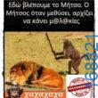 100066303475822_803677401852368-Αστεία εικόνα-kanelikegianablepistakalitera
