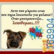 100066303475822_804241775129264-Αστεία εικόνα-kanelikegianablepistakalitera