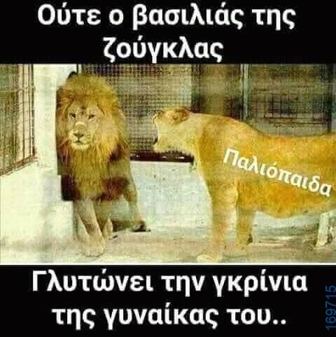 100066303475822_808413308045444-Αστεία εικόνα-kanelikegianablepistakalitera