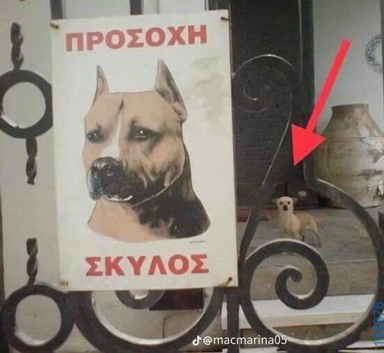 100083112073582_427716193342113_Αστεία εικόνα-Βουνα