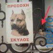 100083112073582_427716193342113_Αστεία εικόνα-Βουνα
