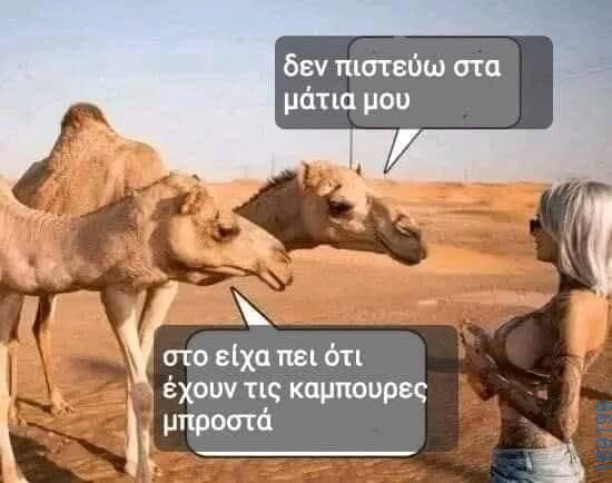 100083112073582_428709019909497_Αστεία εικόνα-Βουνα