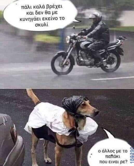 100083112073582_430438593069873_Αστεία εικόνα-Βουνα